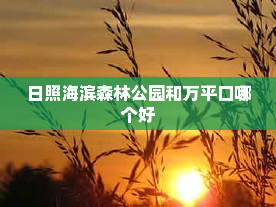 日照海滨森林公园和万平口哪个好