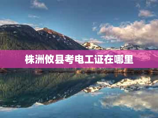 株洲攸县考电工证在哪里