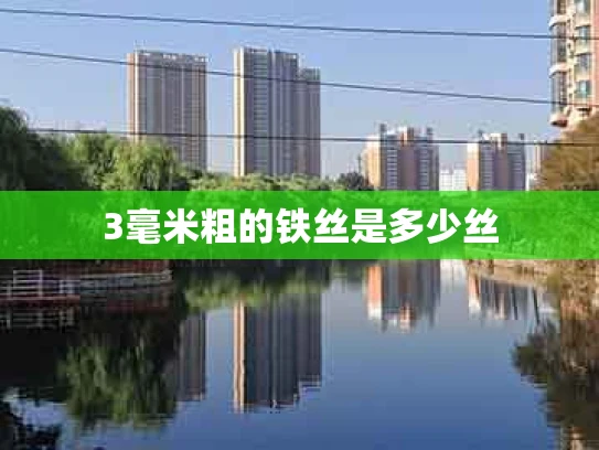 3毫米粗的铁丝是多少丝