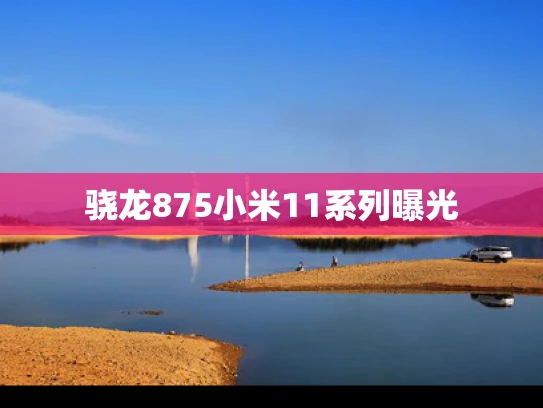 骁龙875小米11系列曝光