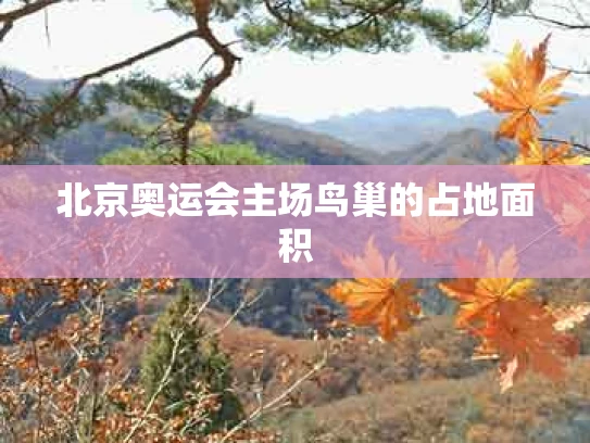 北京奥运会主场鸟巢的占地面积