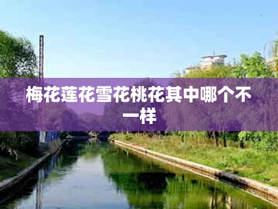 梅花莲花雪花桃花其中哪个不一样