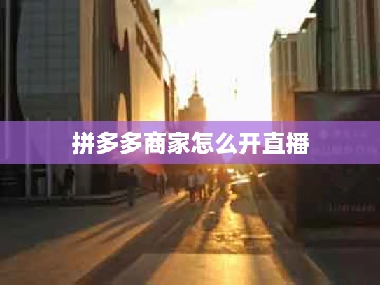 拼多多商家怎么开直播
