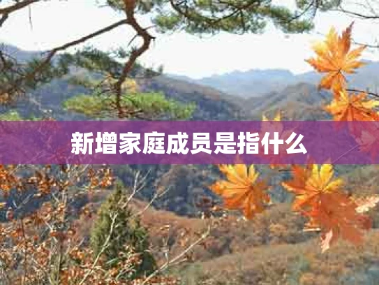 新增家庭成员是指什么