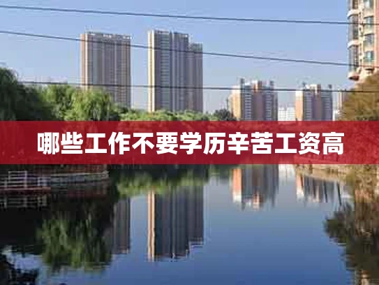 哪些工作不要学历辛苦工资高