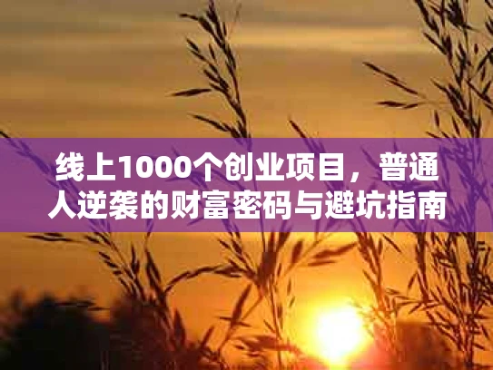 线上1000个创业项目，普通人逆袭的财富密码与避坑指南