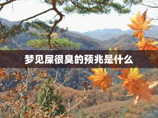 梦见屎很臭的预兆是什么