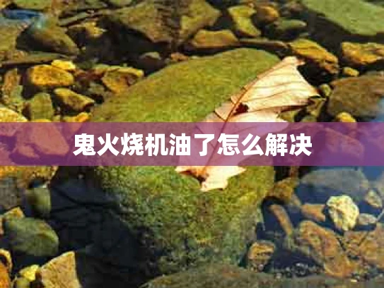 鬼火烧机油了怎么解决
