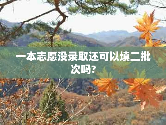 一本志愿没录取还可以填二批次吗?