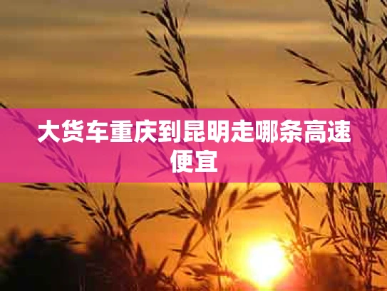 大货车重庆到昆明走哪条高速便宜