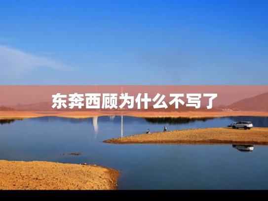 东奔西顾为什么不写了