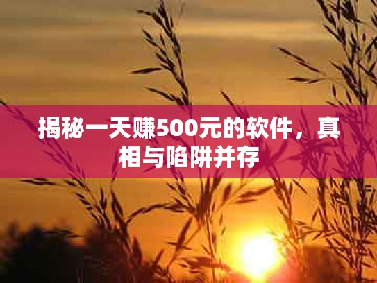 揭秘一天赚500元的软件，真相与陷阱并存