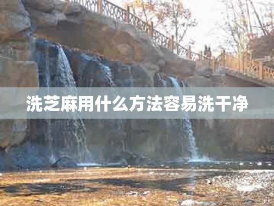 洗芝麻用什么方法容易洗干净