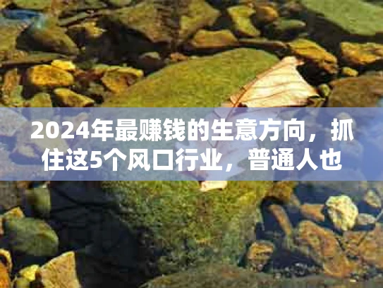 2024年最赚钱的生意方向，抓住这5个风口行业，普通人也能逆袭