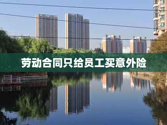 劳动合同只给员工买意外险