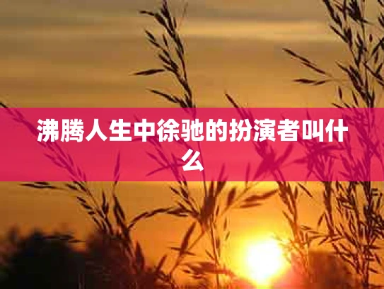 沸腾人生中徐驰的扮演者叫什么