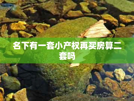 名下有一套小产权再买房算二套吗