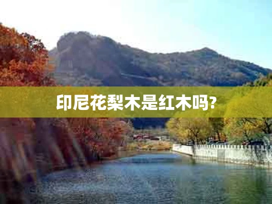 印尼花梨木是红木吗?