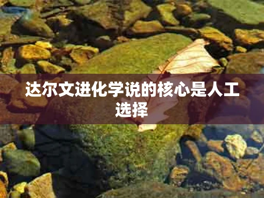 达尔文进化学说的核心是人工选择