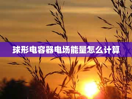 球形电容器电场能量怎么计算