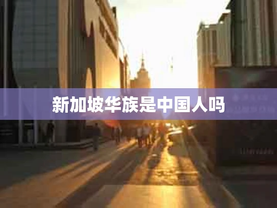 新加坡华族是中国人吗