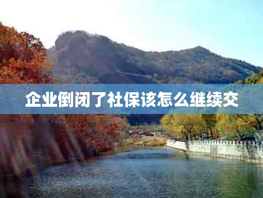 企业倒闭了社保该怎么继续交