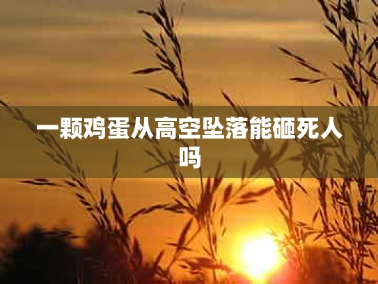 一颗鸡蛋从高空坠落能砸死人吗
