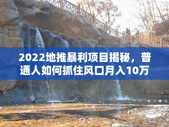 2022地推暴利项目揭秘，普通人如何抓住风口月入10万+