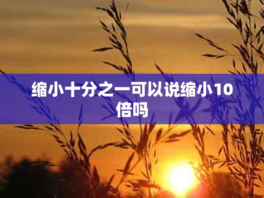 缩小十分之一可以说缩小10倍吗