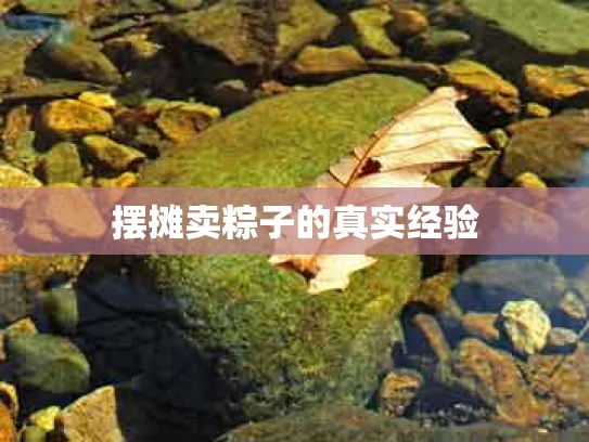 摆摊卖粽子的真实经验