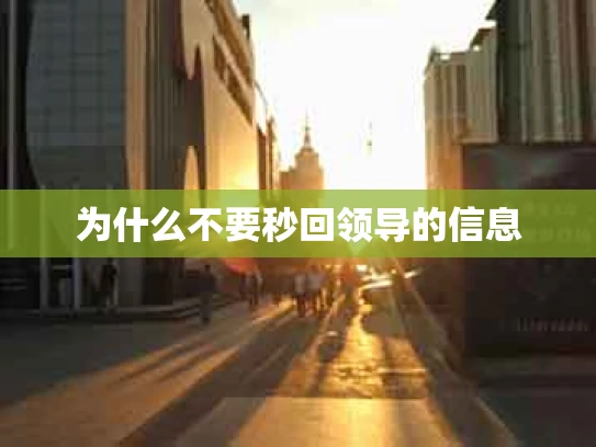 为什么不要秒回领导的信息