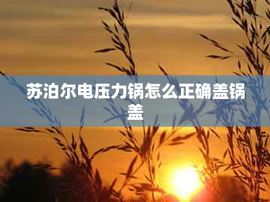 苏泊尔电压力锅怎么正确盖锅盖