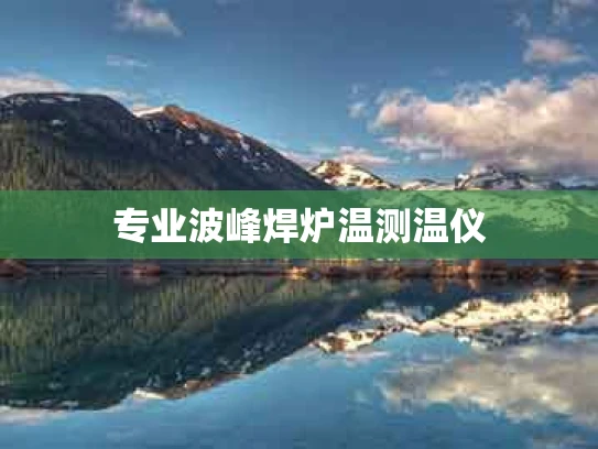专业波峰焊炉温测温仪