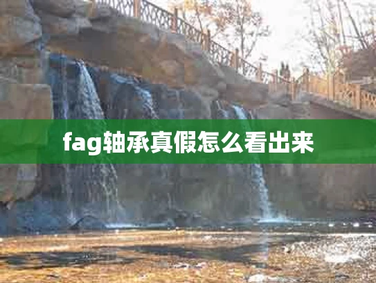 fag轴承真假怎么看出来