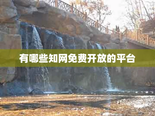 有哪些知网免费开放的平台