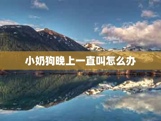 小奶狗晚上一直叫怎么办