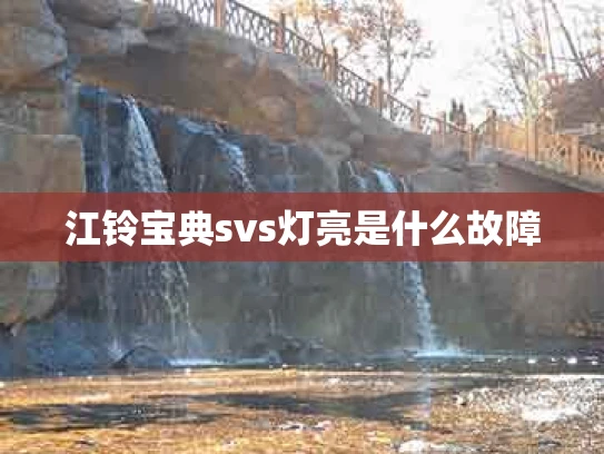 江铃宝典svs灯亮是什么故障