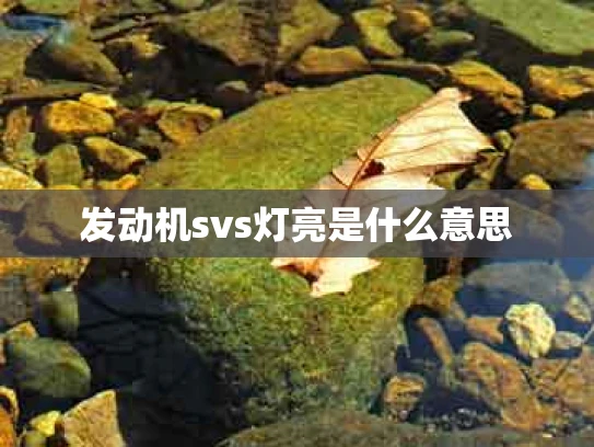 发动机svs灯亮是什么意思