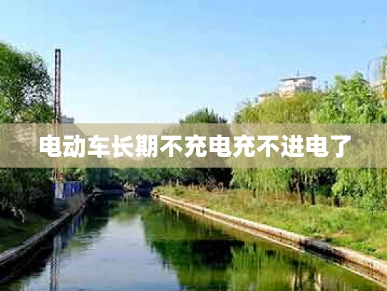 电动车长期不充电充不进电了