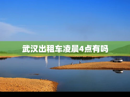 武汉出租车凌晨4点有吗