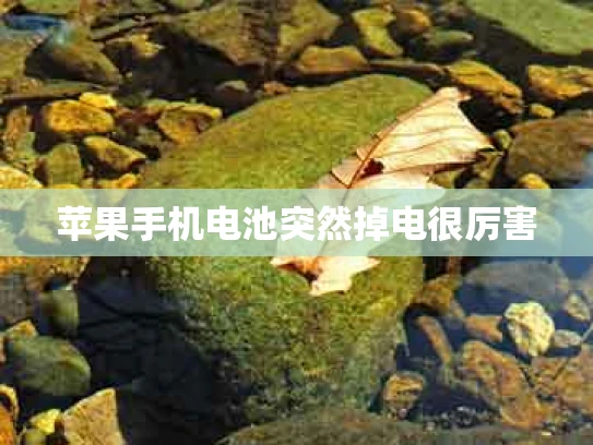 苹果手机电池突然掉电很厉害