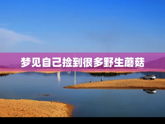 梦见自己捡到很多野生蘑菇