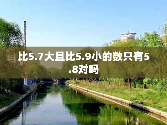 比5.7大且比5.9小的数只有5.8对吗