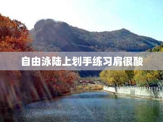 自由泳陆上划手练习肩很酸
