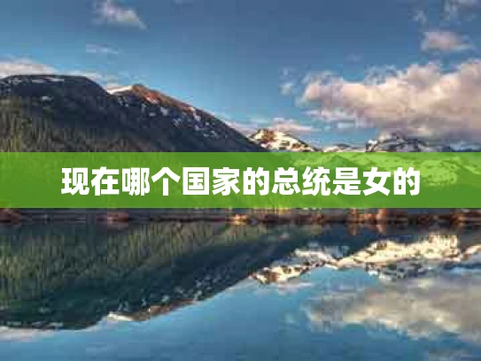 现在哪个国家的总统是女的