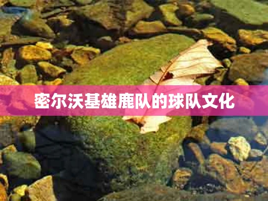 密尔沃基雄鹿队的球队文化