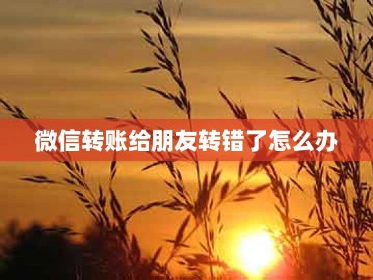 微信转账给朋友转错了怎么办