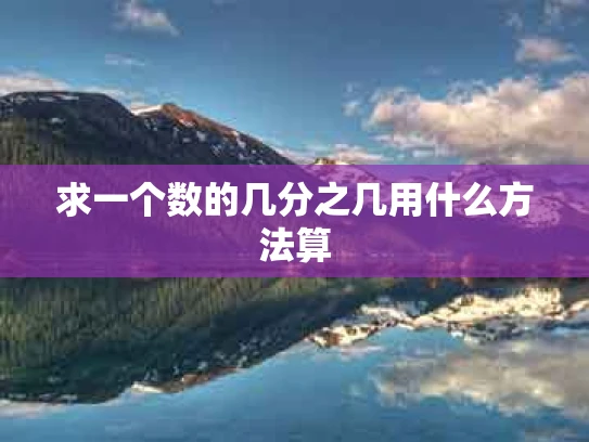 求一个数的几分之几用什么方法算
