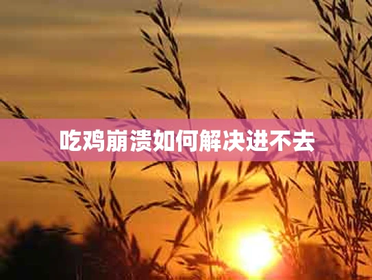 吃鸡崩溃如何解决进不去