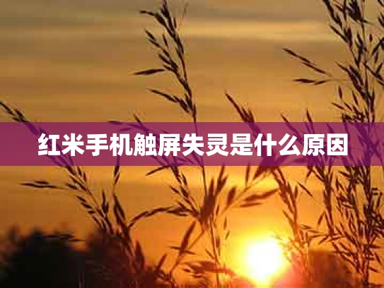 红米手机触屏失灵是什么原因
